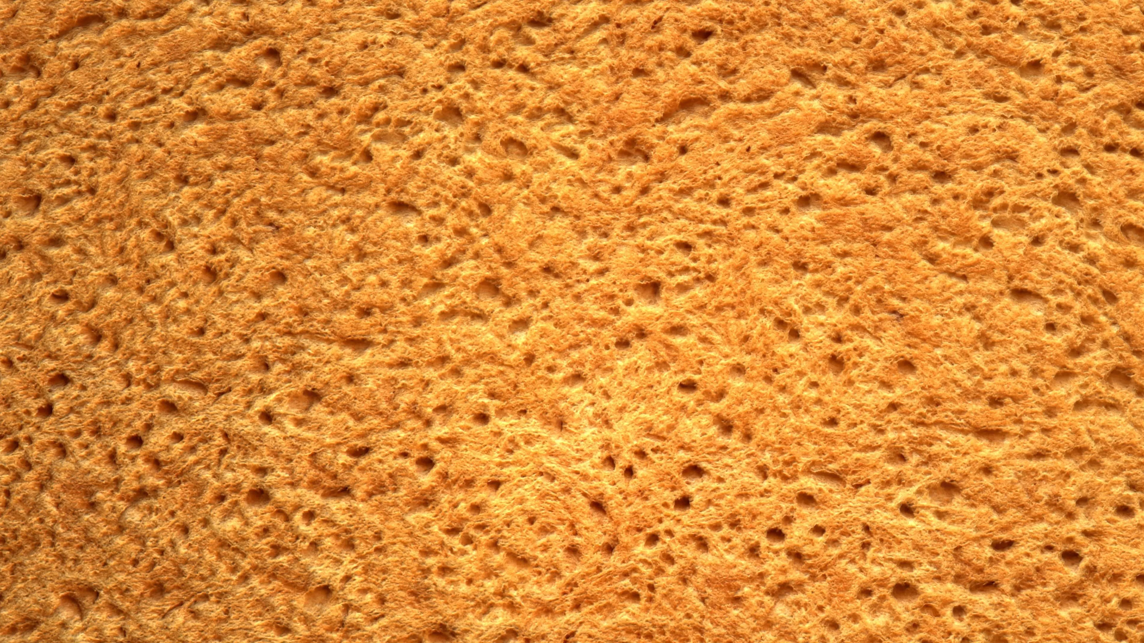 Bread PBR Texture Texture_7