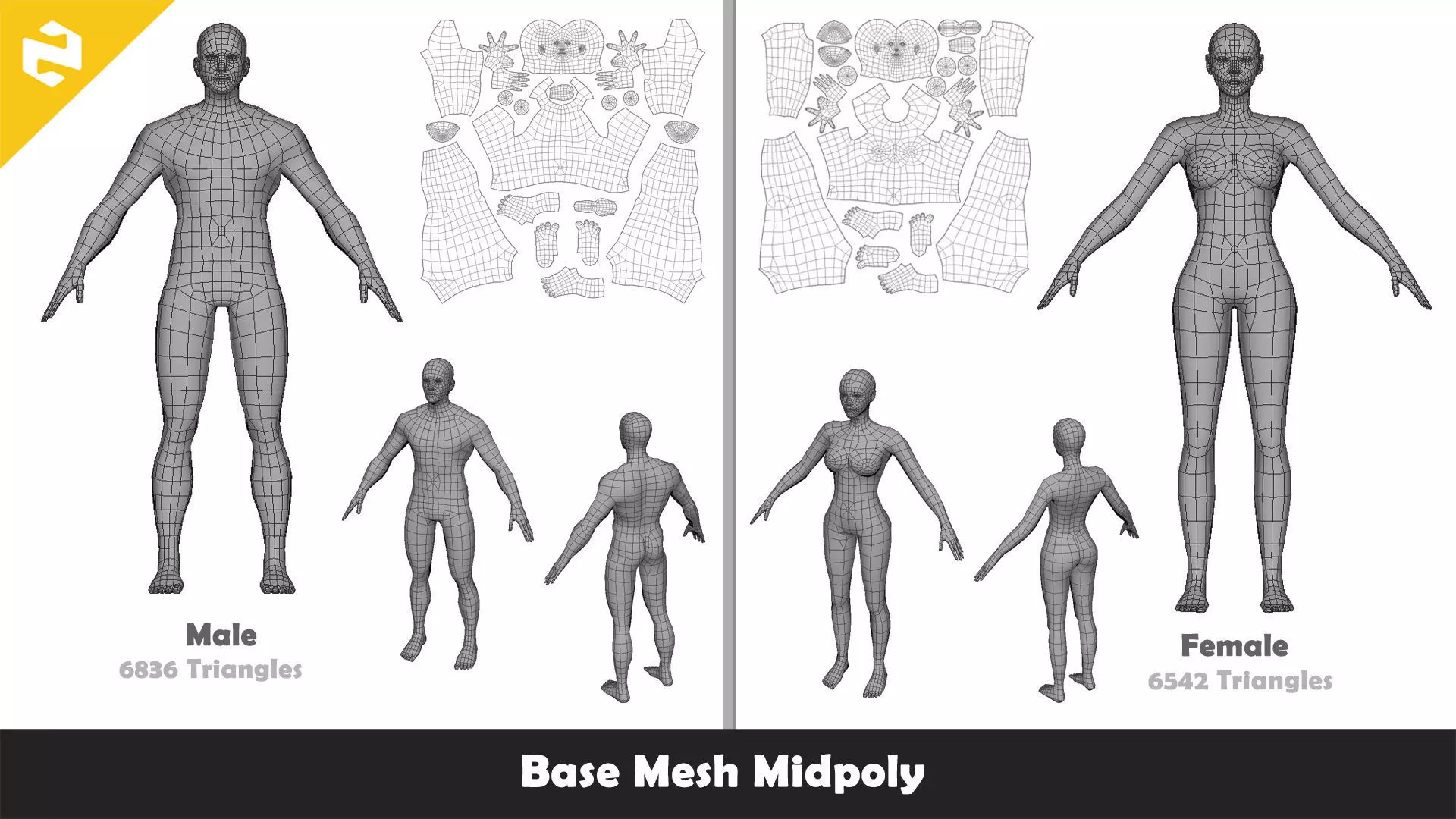 Base Mesh Pack - Family Base Mesh Low-poly 3D model_3
