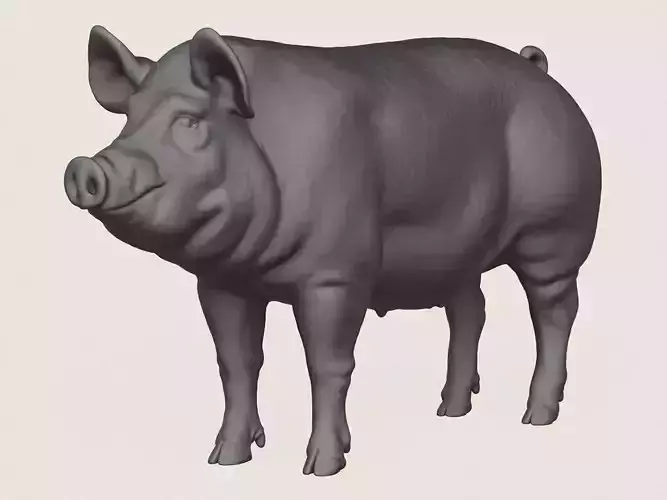 Pig Print Ready 3D Model
