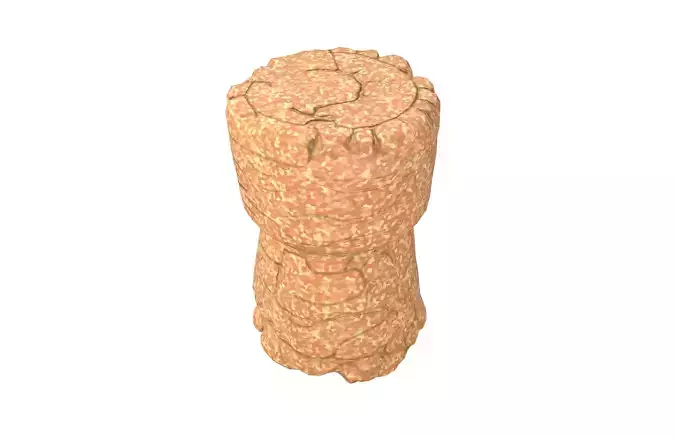 Cork v1 001 Low-poly 3D model 4