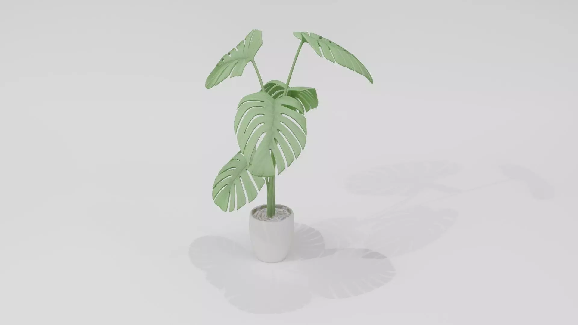 Tree Branch 3D Model  Low Poly Nature Asset Low-poly 3D model_3