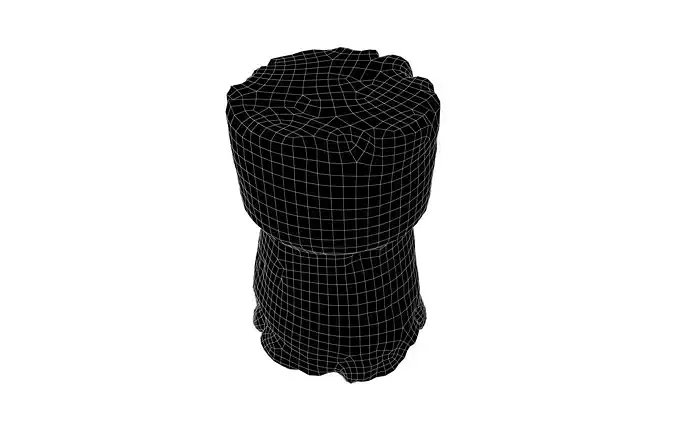 Cork v1 002 Low-poly 3D model 7