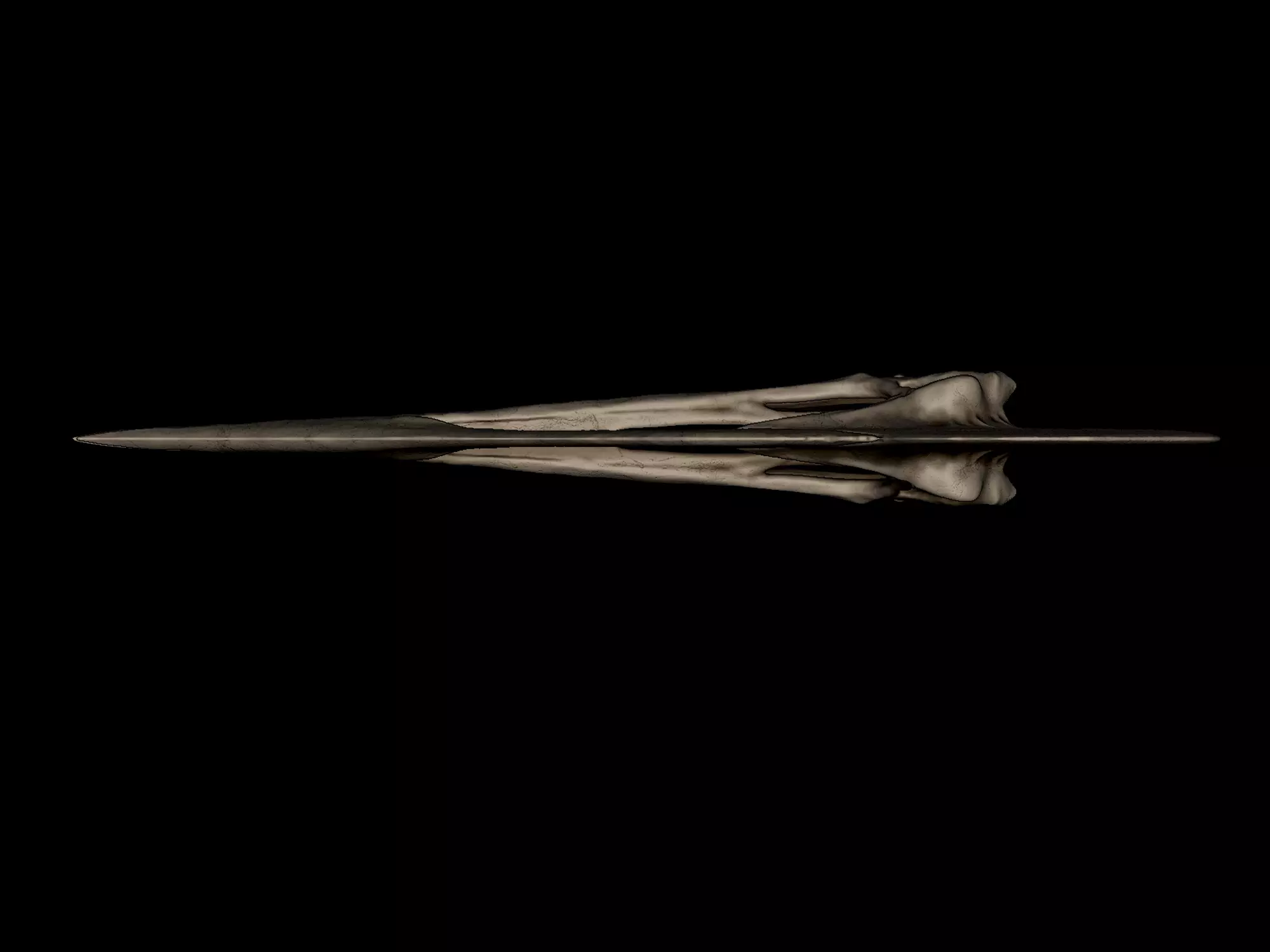 Tupuxuara Skull 3D print model_4