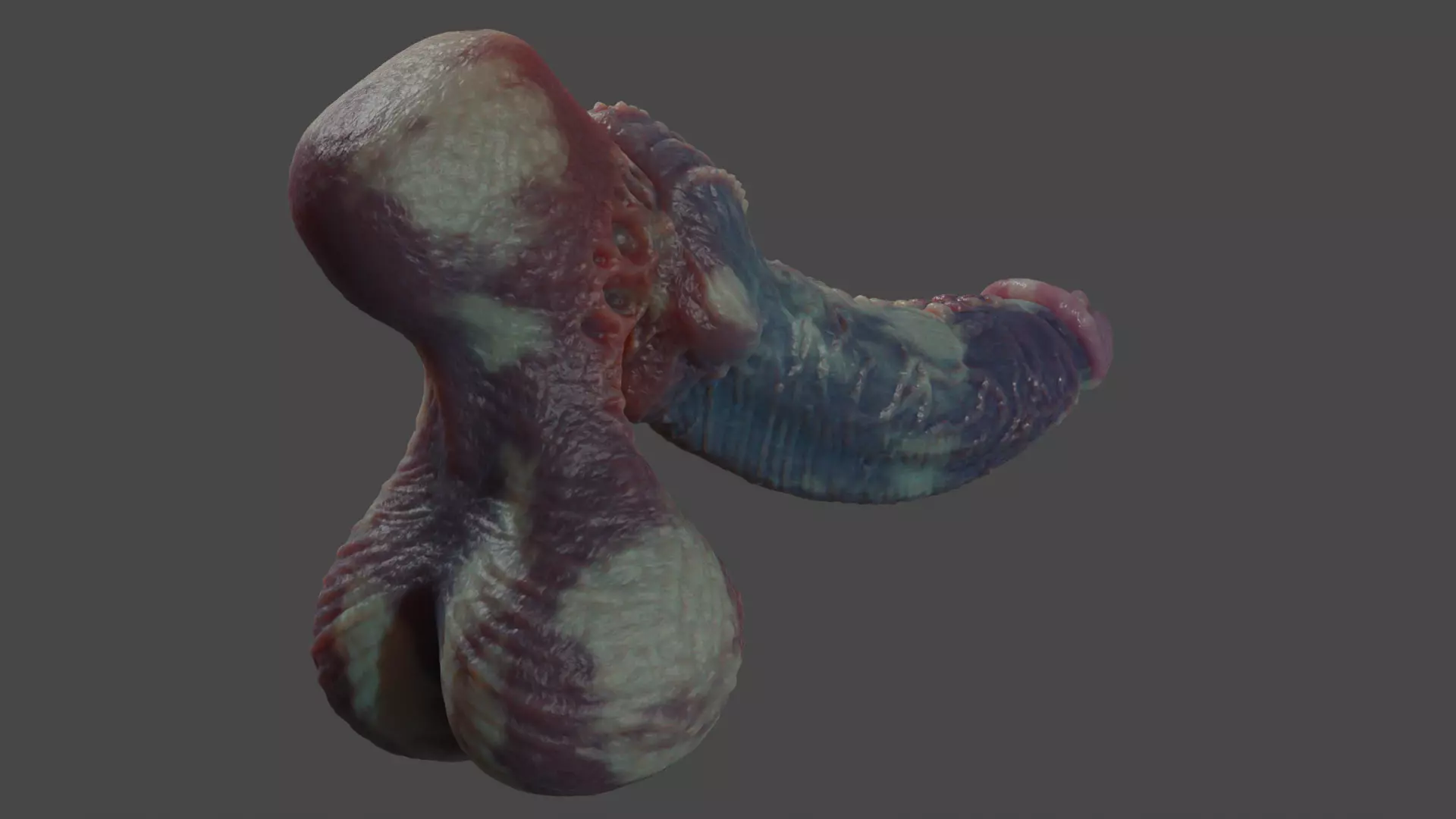 Fantasy Xanath Alien Penis Rigged Low-poly 3D model_9