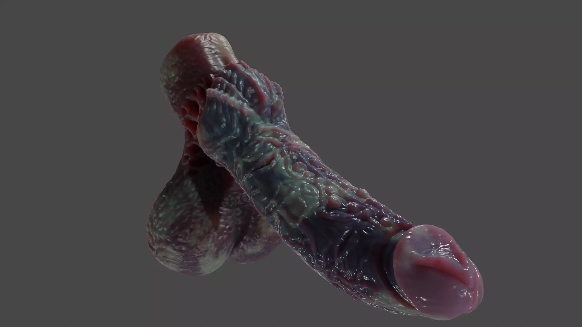 Fantasy Xanath Alien Penis Rigged Low-poly 3D model_11