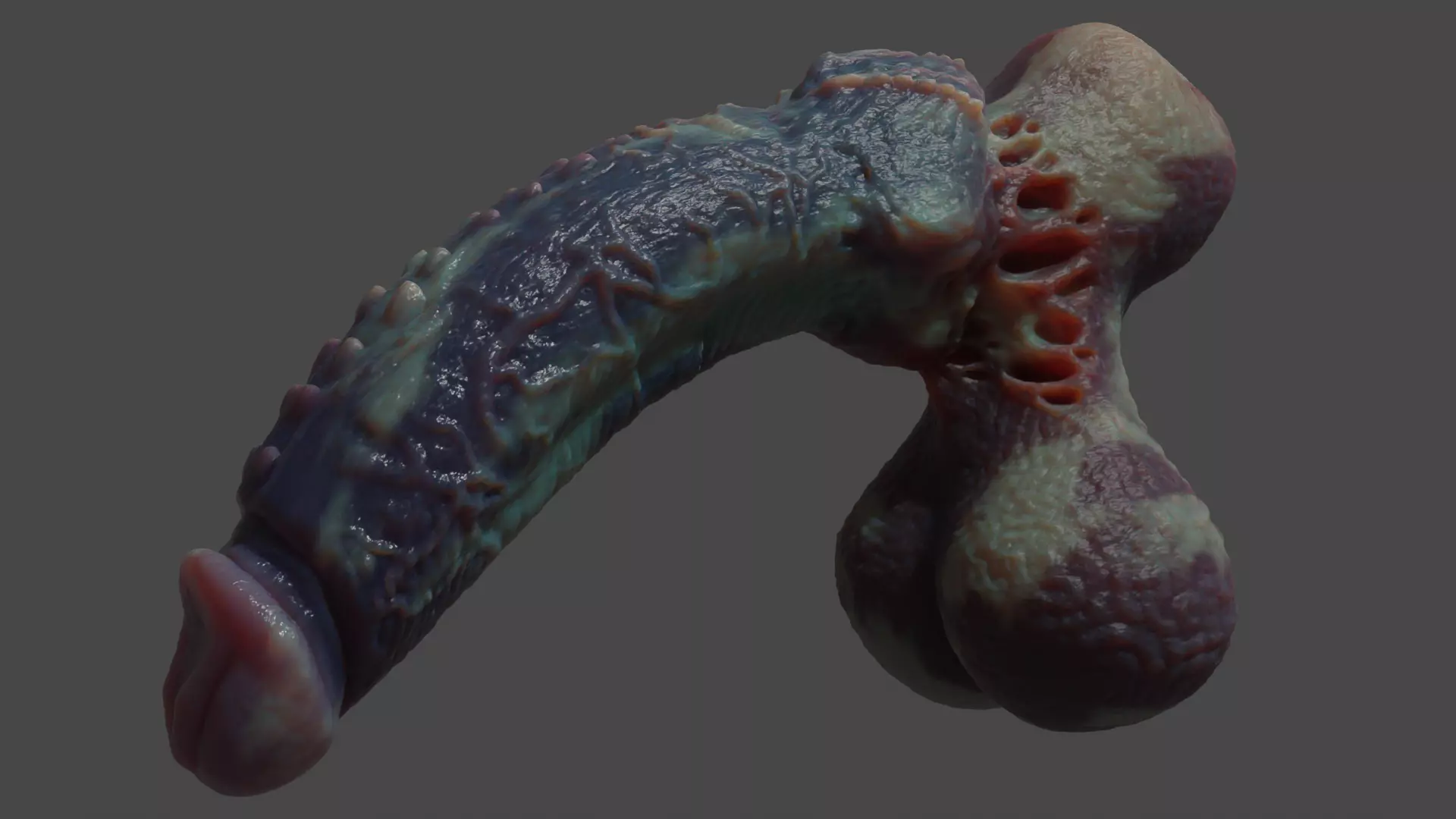 Fantasy Xanath Alien Penis Rigged Low-poly 3D model_6