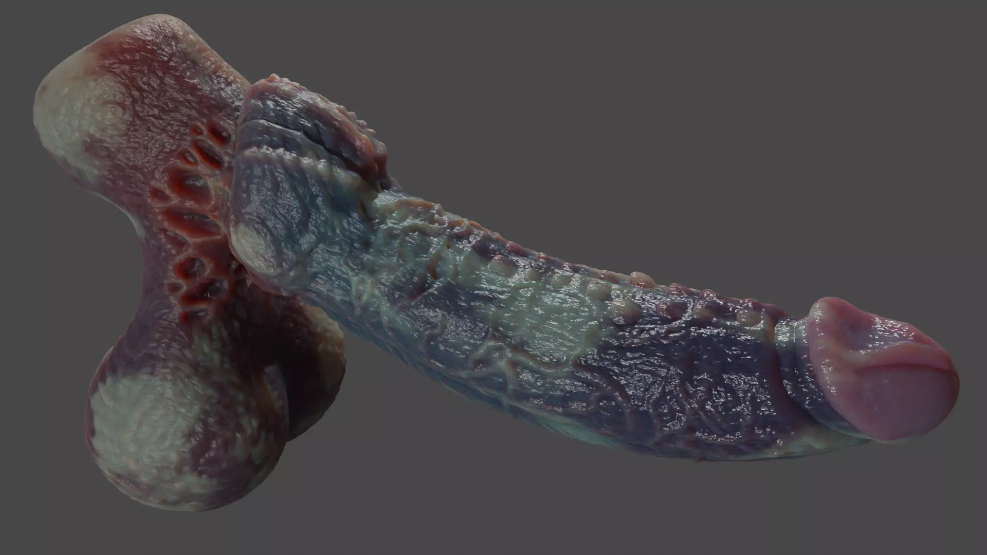 Fantasy Xanath Alien Penis Rigged Low-poly 3D model_7