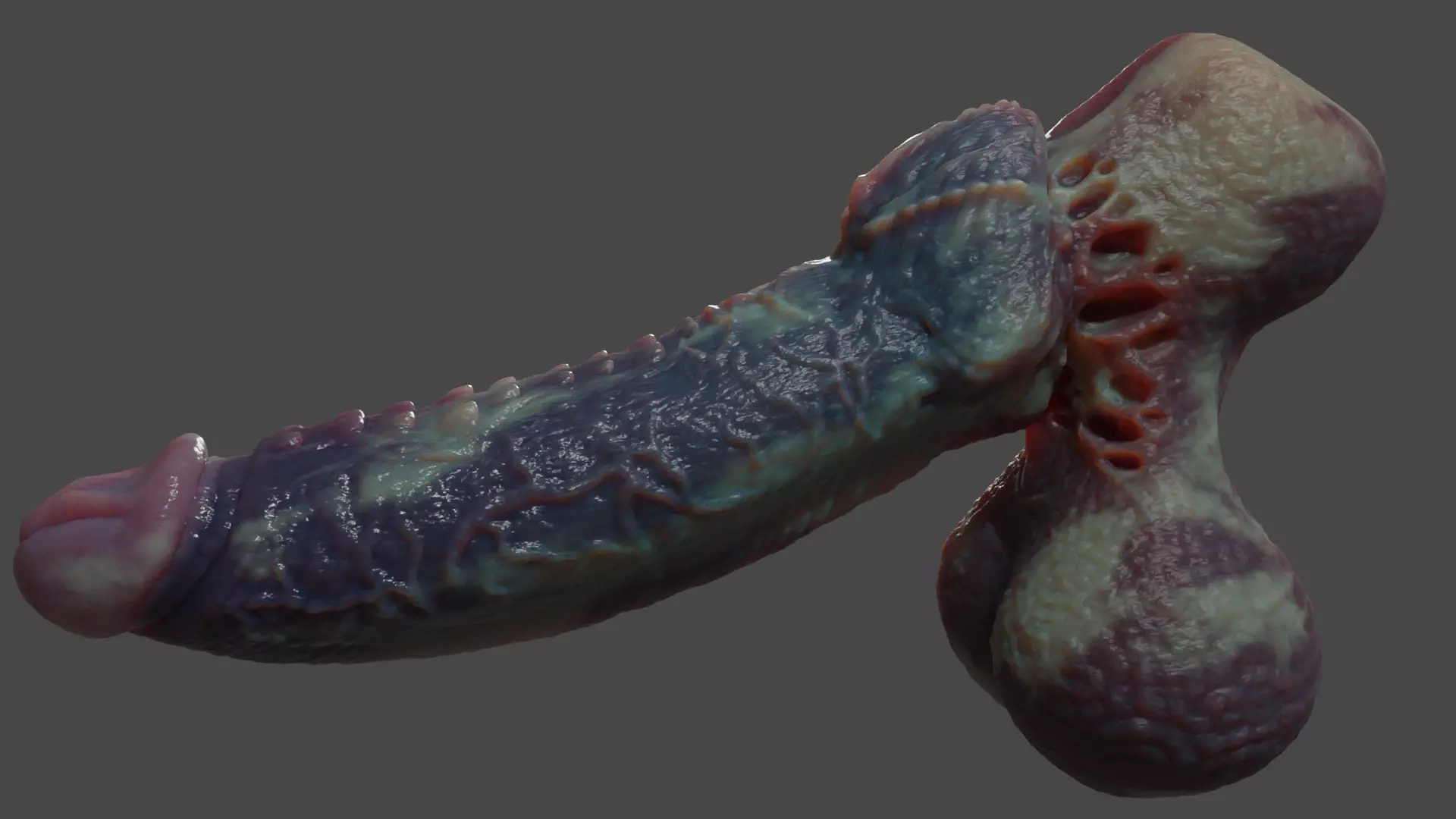 Fantasy Xanath Alien Penis Rigged Low-poly 3D model_10