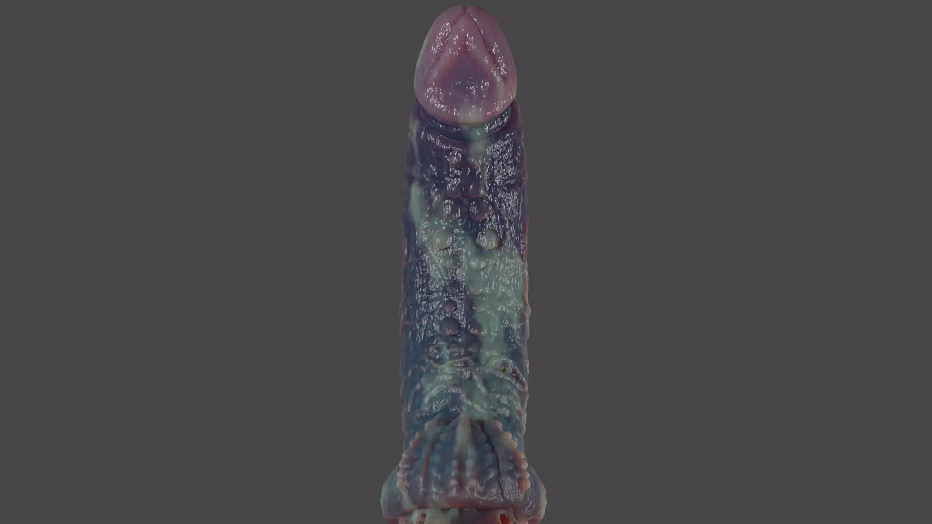 Fantasy Xanath Alien Penis Rigged Low-poly 3D model_8