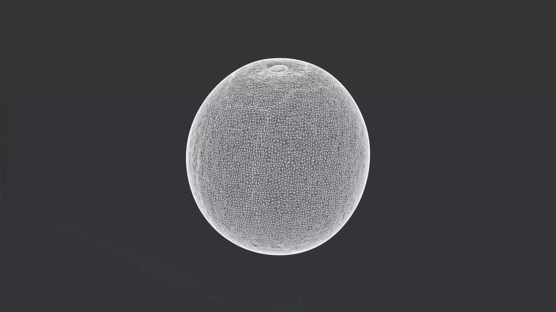 A Watermelon 3D model_3