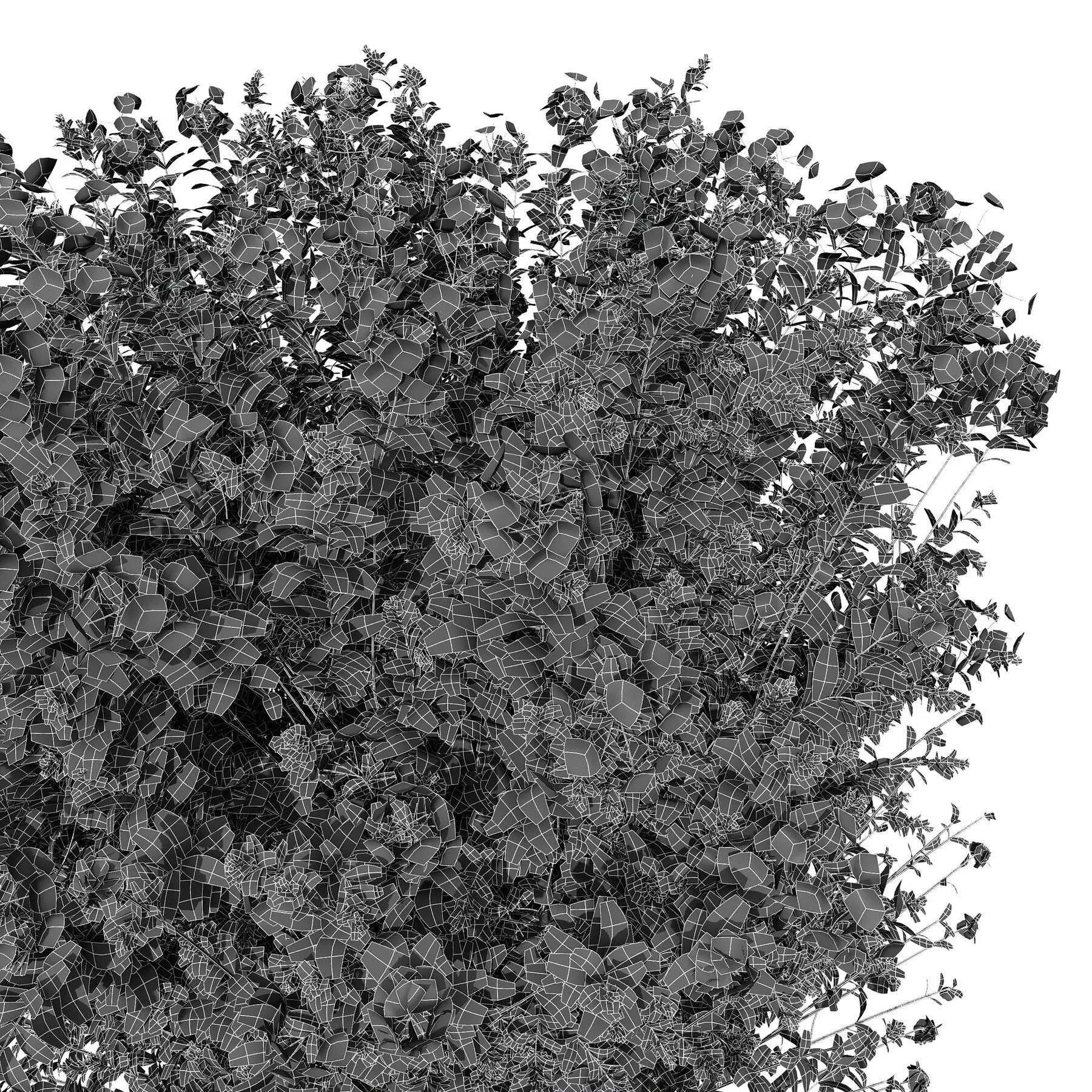 Low Poly Blue Flower Bush with Variants Low-poly 3D model_2