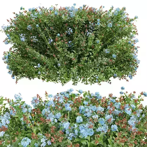 Low Poly Blue Flower Bush with Variants Low-poly 3D model