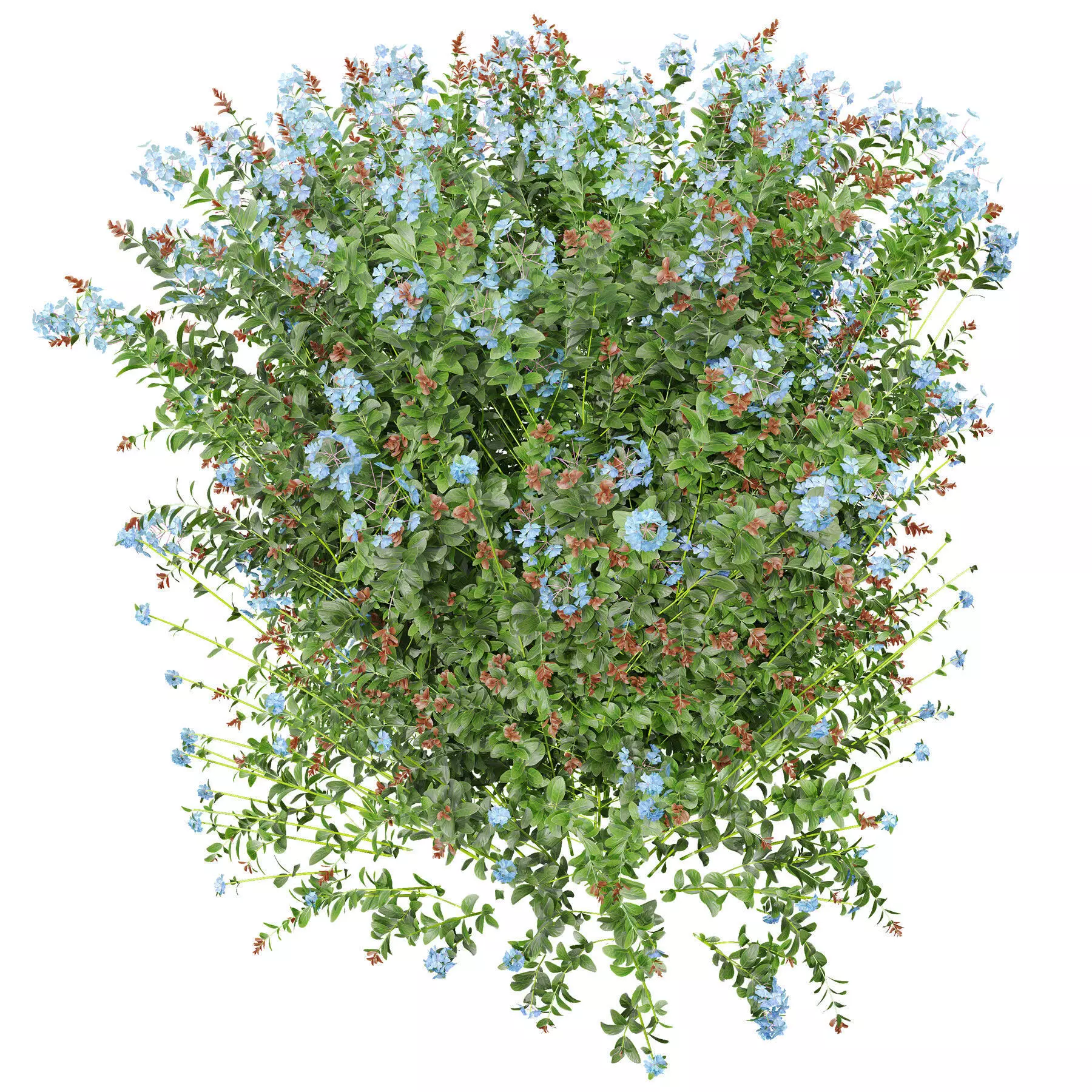 Low Poly Blue Flower Bush with Variants Low-poly 3D model_1