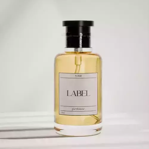 3D Perfume Bottle with Liquid Glass Cosmetic Packaging Model