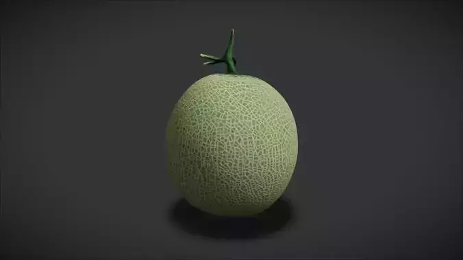A Cantaloupe 3D model