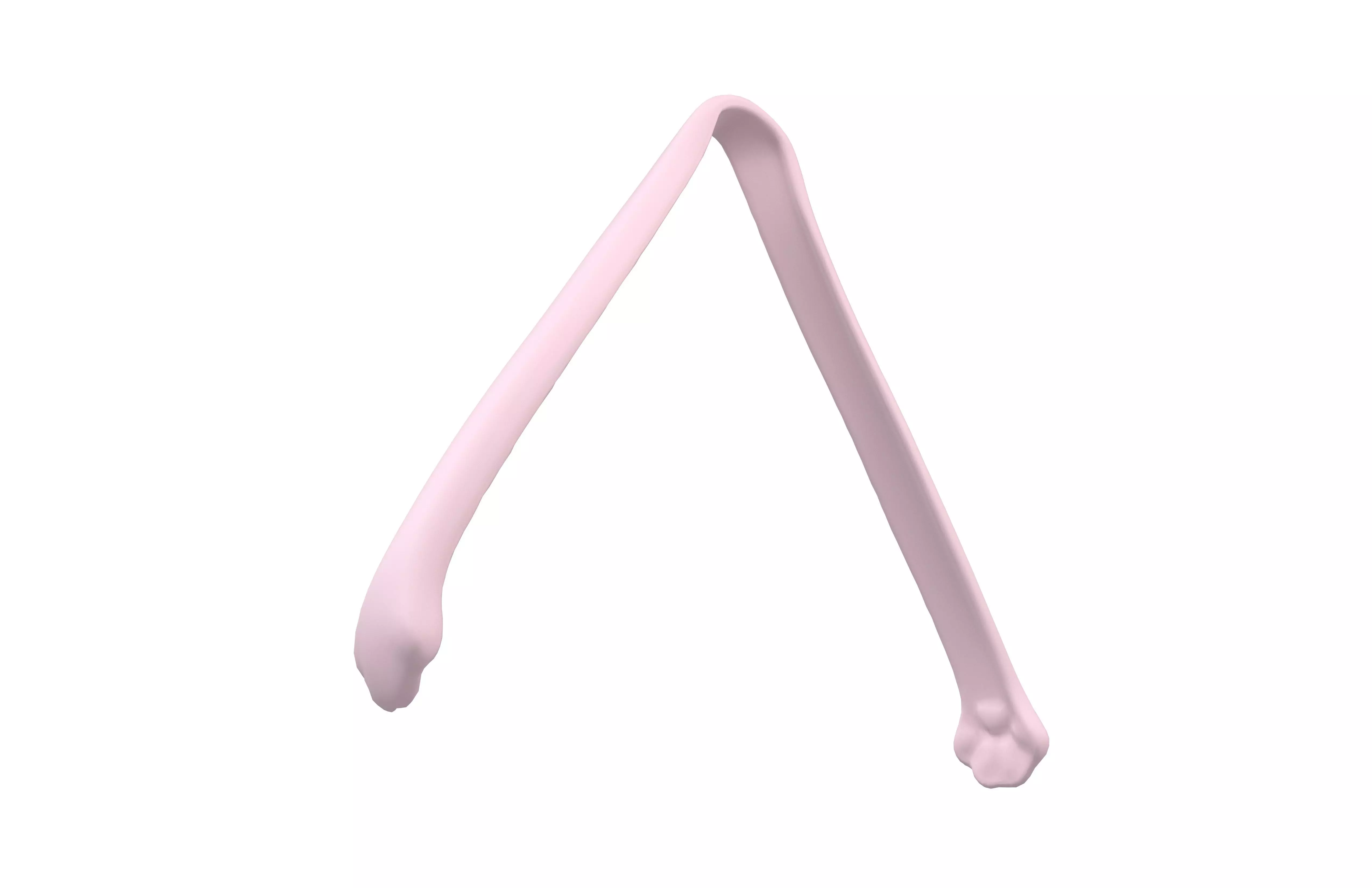 Cat Claw Food Clip v1 001 Low-poly 3D model_3