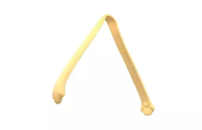 Cat Claw Food Clip v1 003 Low-poly 3D model 4