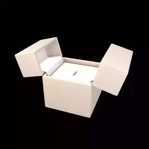 Double Open Door Jewelry Box v1 003