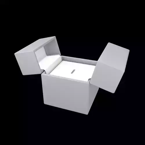 Double Open Door Jewelry Box v1 004