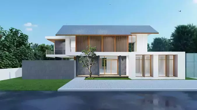 Tropical modern house