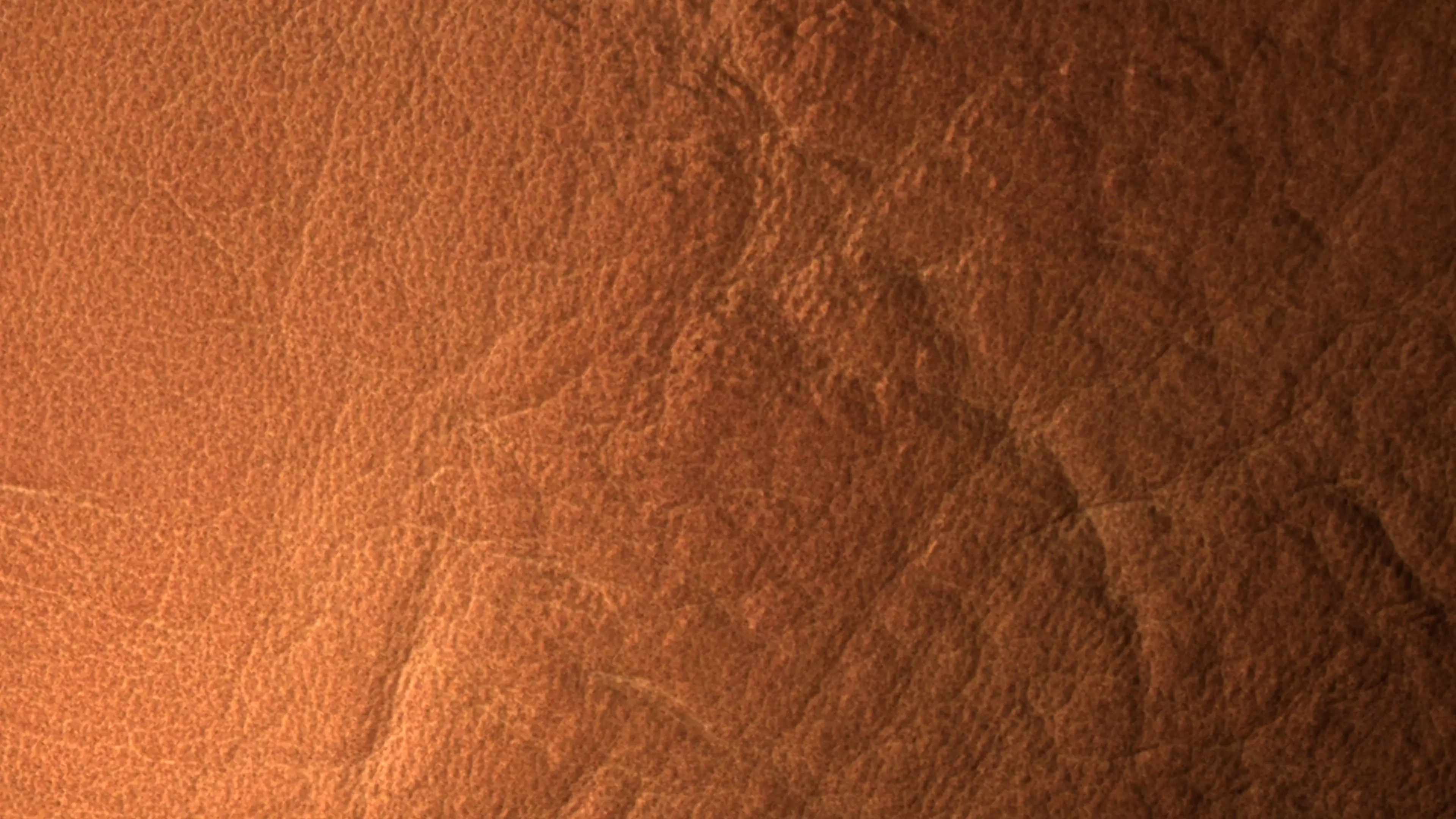 Brown Leather PBR Texture Texture_4