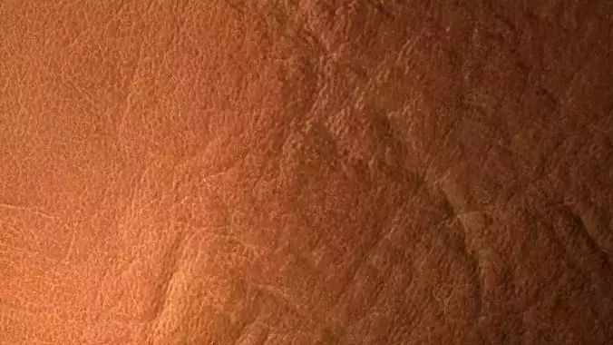 Brown Leather PBR Texture Texture 5