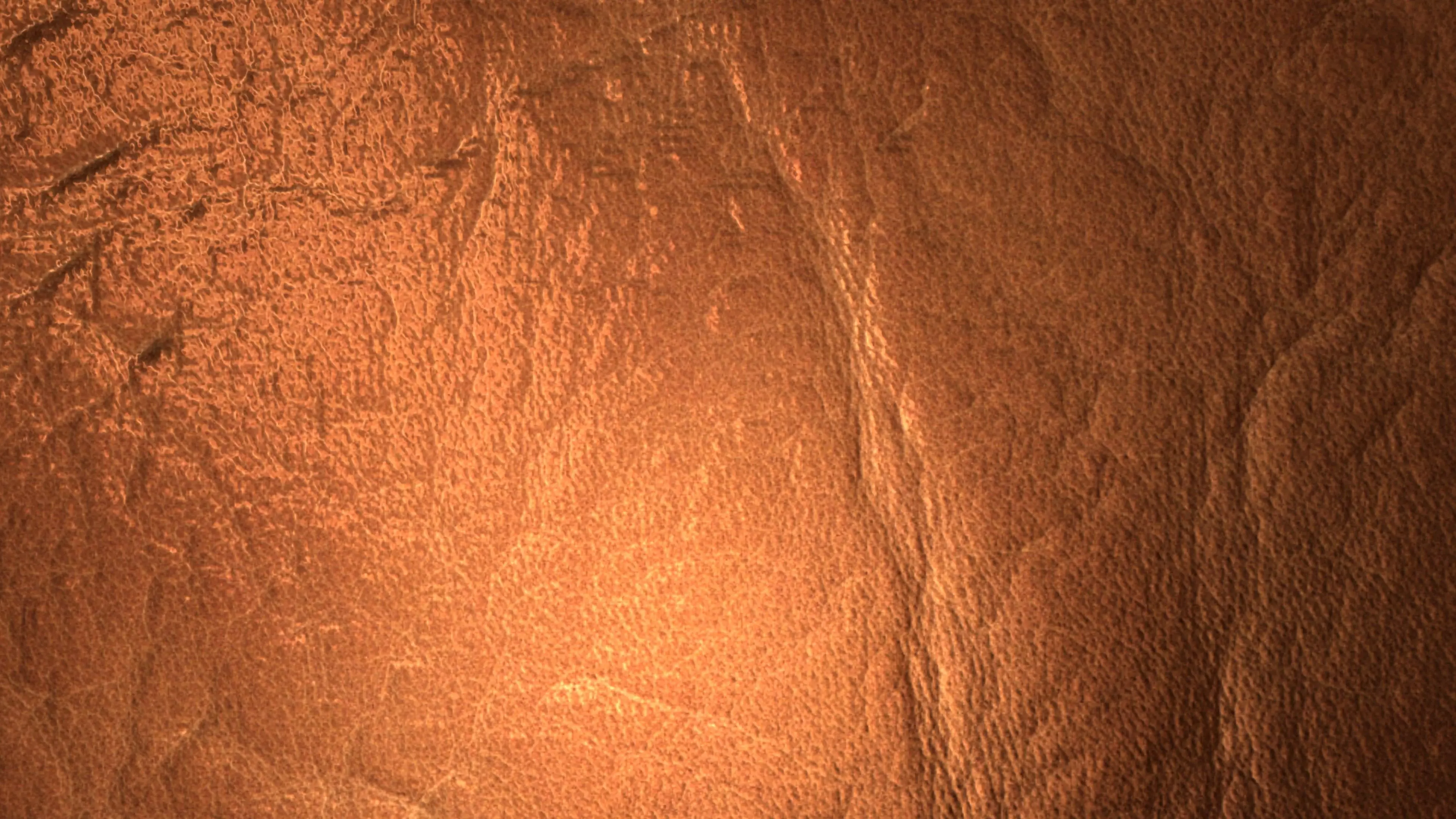 Brown Leather PBR Texture Texture_0