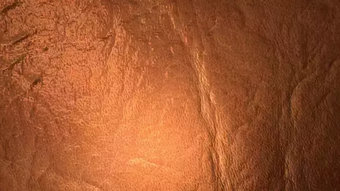 Brown Leather PBR Texture Texture Brown Leather PBR Texture Texture