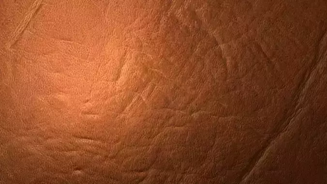 Brown Leather PBR Texture Texture 6