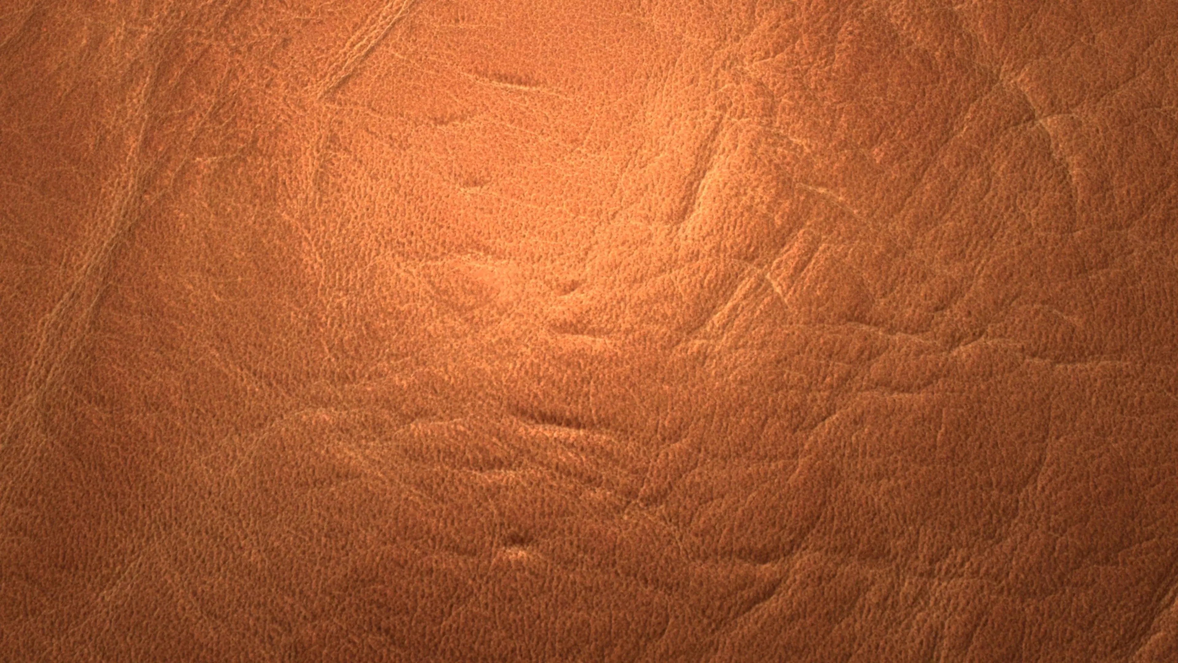 Brown Leather PBR Texture Texture_3
