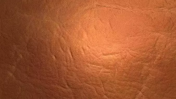 Brown Leather PBR Texture Texture 3