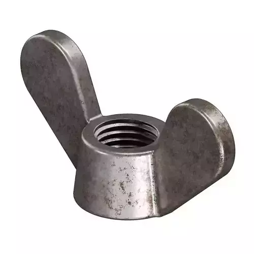 Rusty Steel Wing Nut