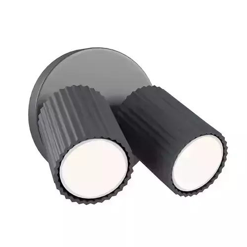 Aperture Swing Arm Sconce 2 Light 3D model