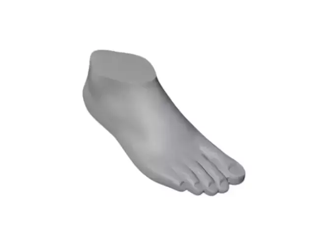 3D Foot Dummy Model STL Shoe Prototyping Display Development 3D print model