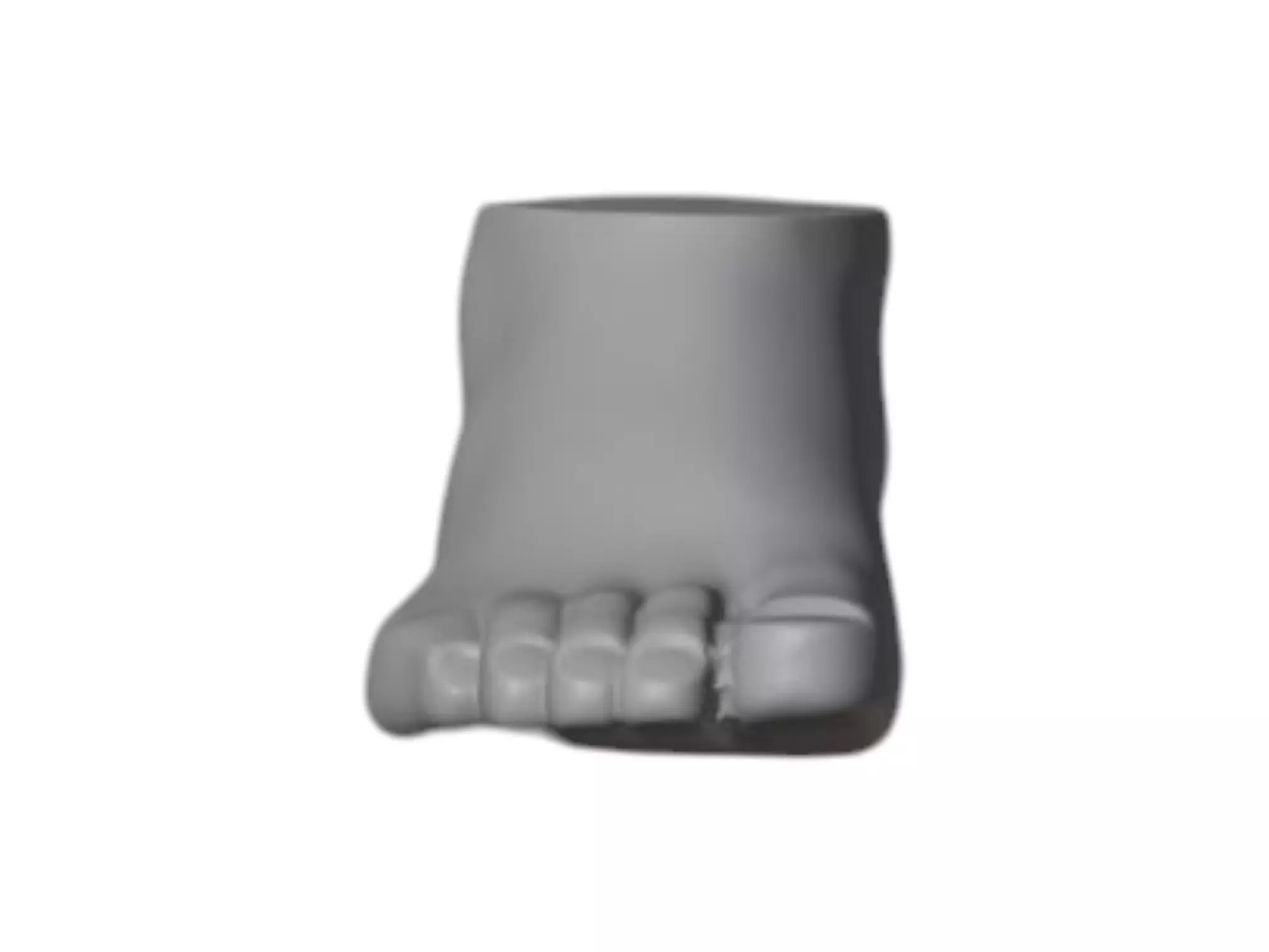 3D Foot Dummy Model STL Shoe Prototyping Display Development 3D print model_2