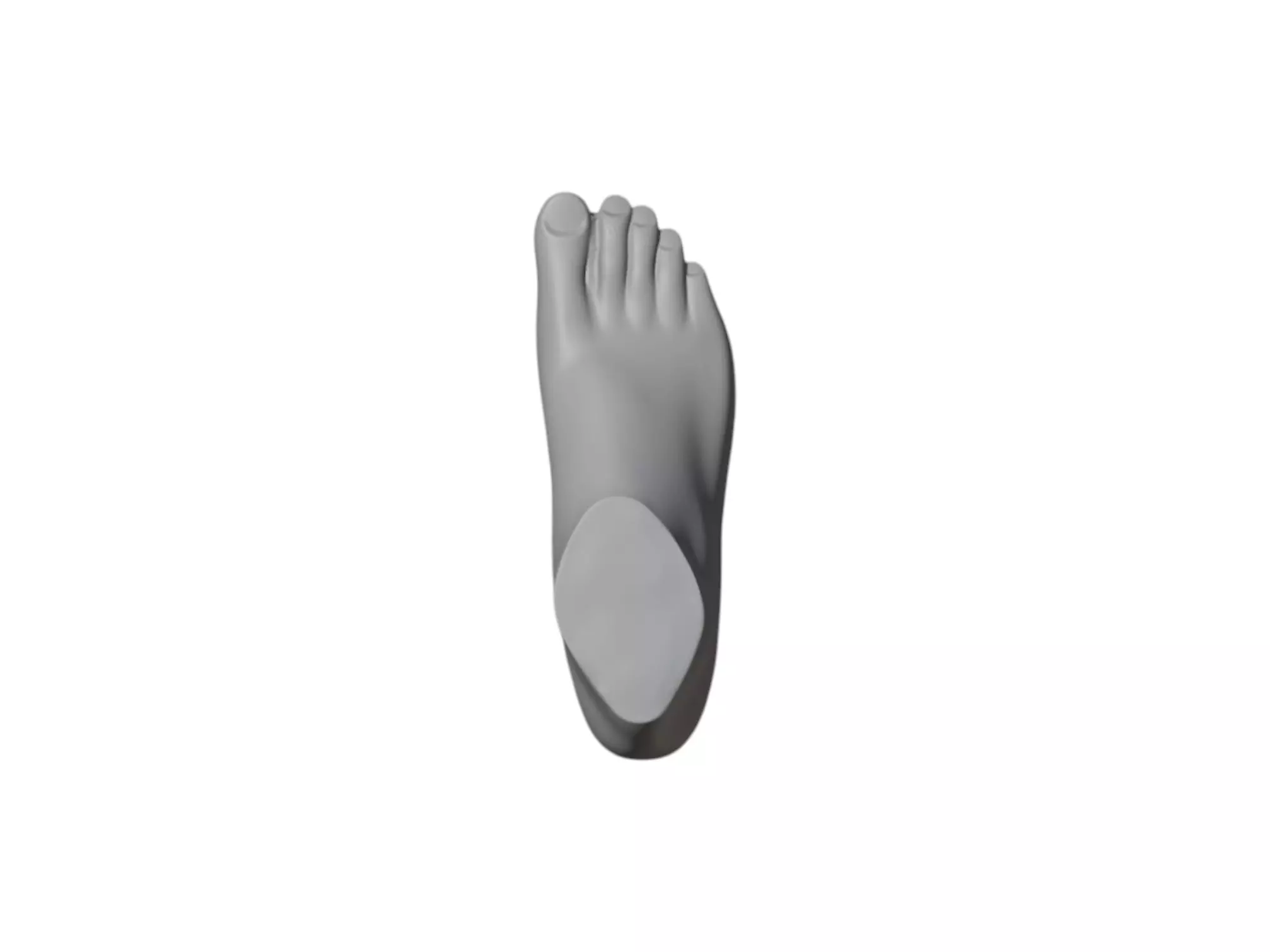 3D Foot Dummy Model STL Shoe Prototyping Display Development 3D print model_4