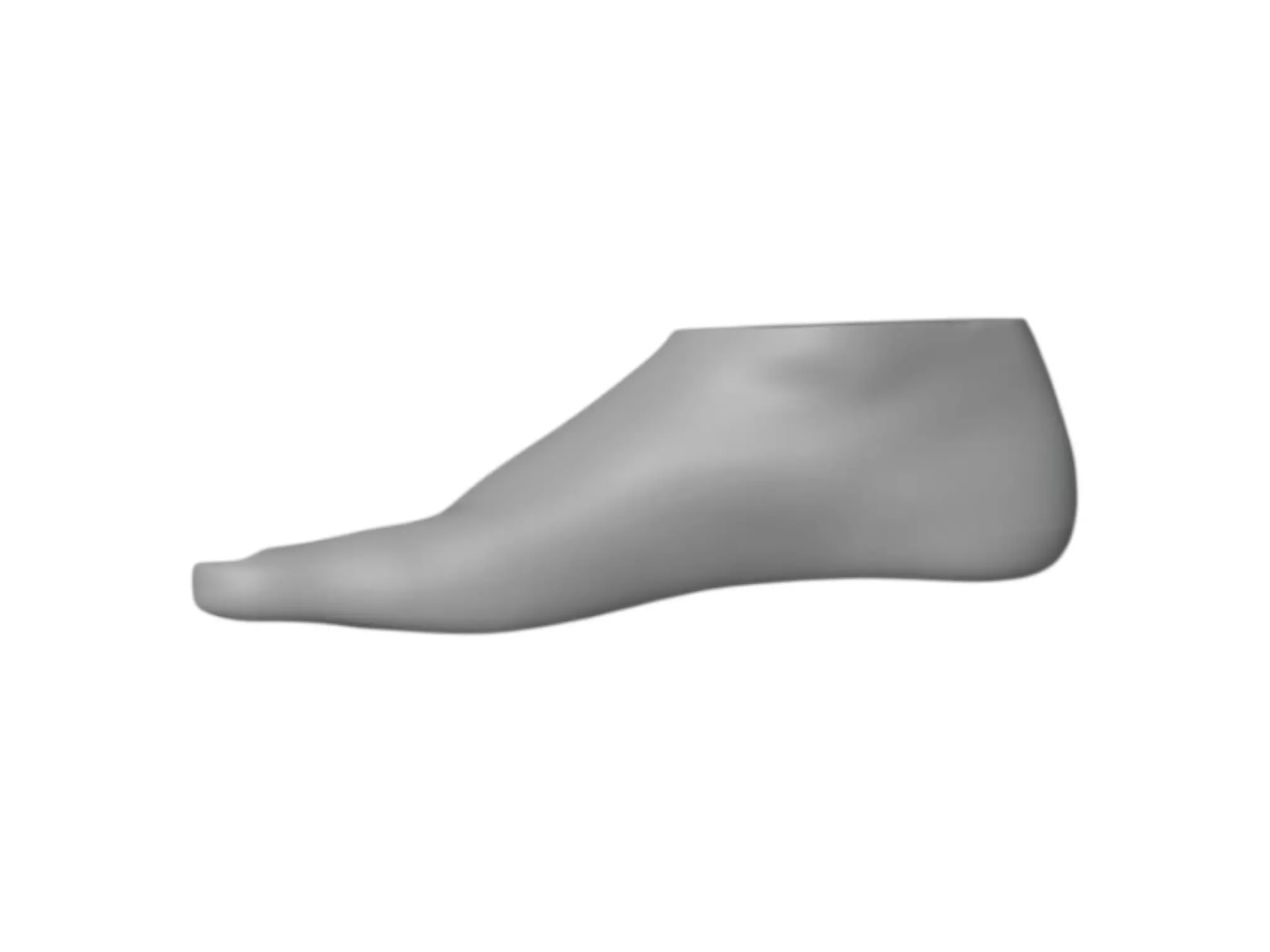 3D Foot Dummy Model STL Shoe Prototyping Display Development 3D print model_3