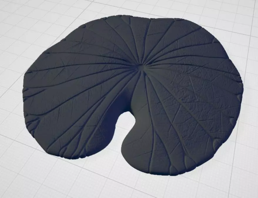 Petalo de loto 3D Free 3D model