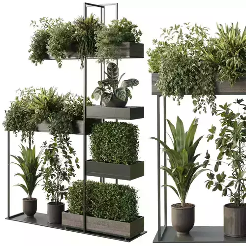 Standing metal shelf with a set of plants in wooden 683 
