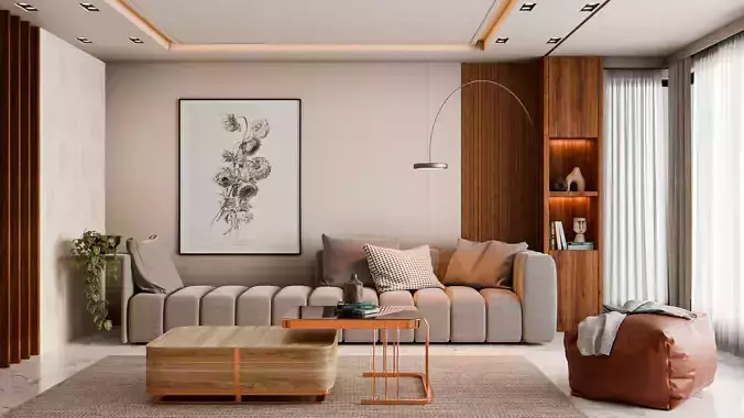 Modern Living Room  Interior Scene