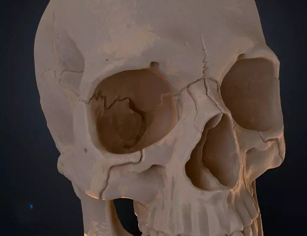 skull human 3D print model_1