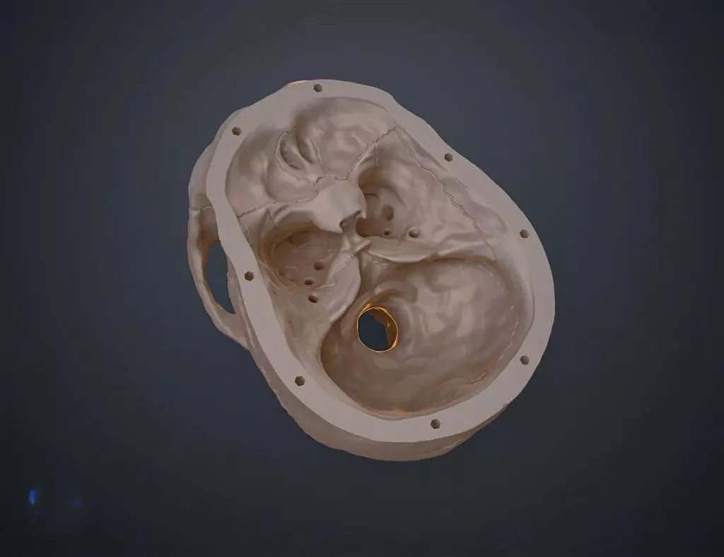 skull human 3D print model_2