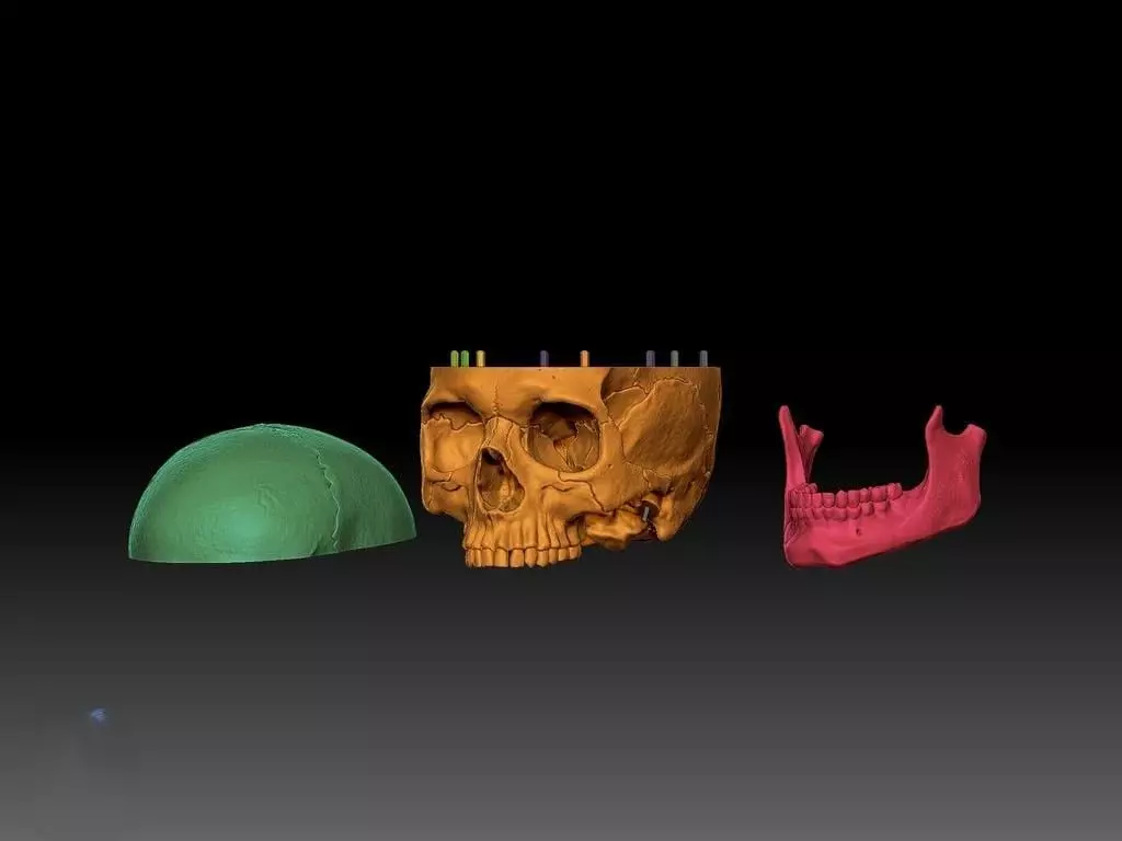 skull human 3D print model_4