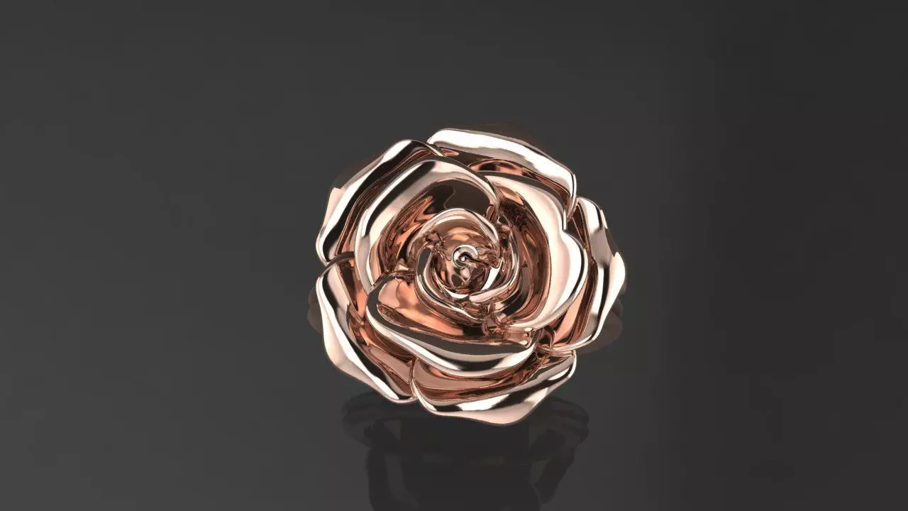 Rings Rosa  3D print model_1