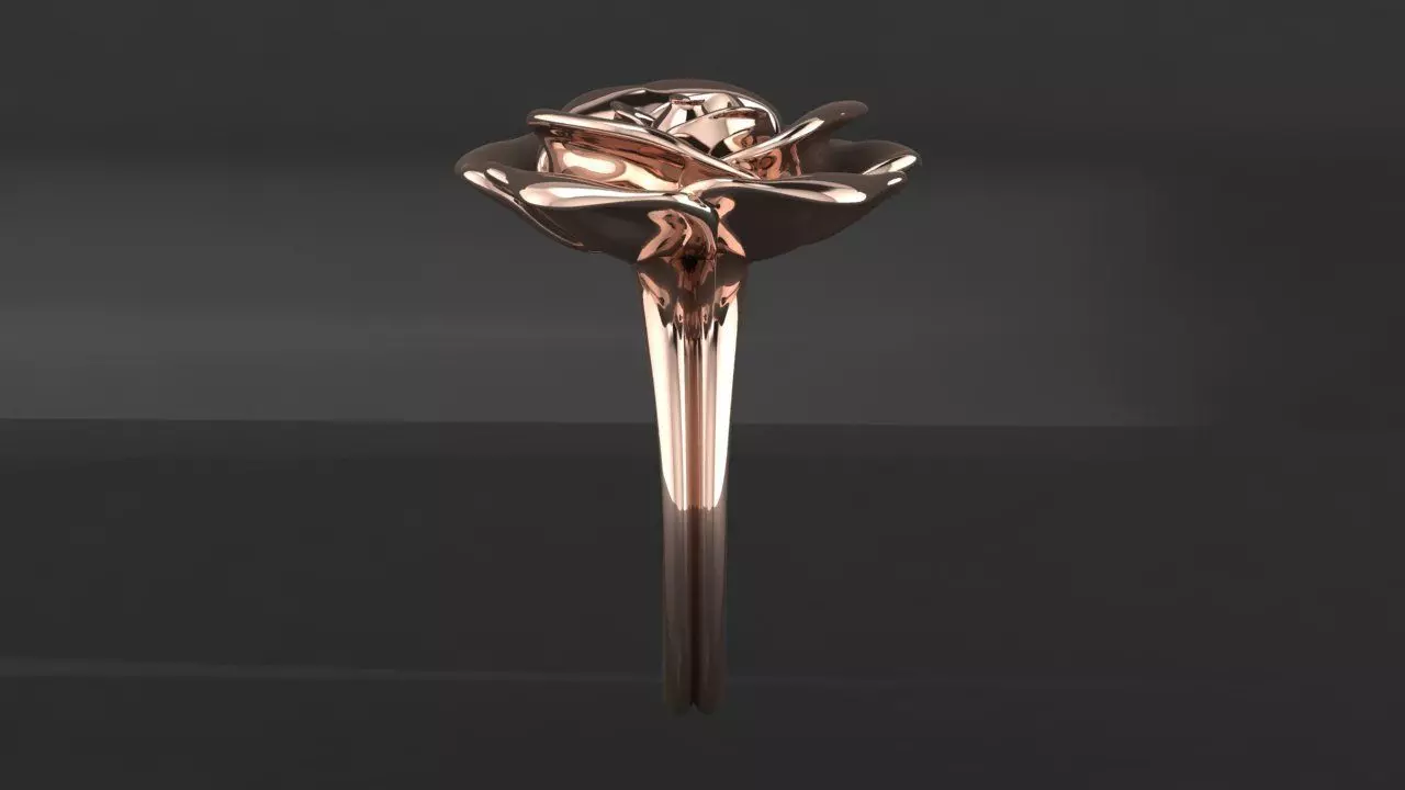 Rings Rosa  3D print model_5
