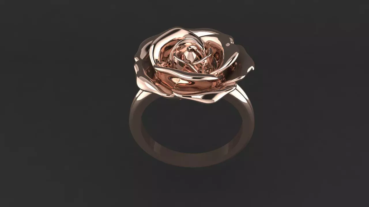 Rings Rosa  3D print model_2
