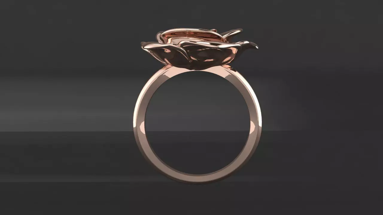 Rings Rosa  3D print model_4
