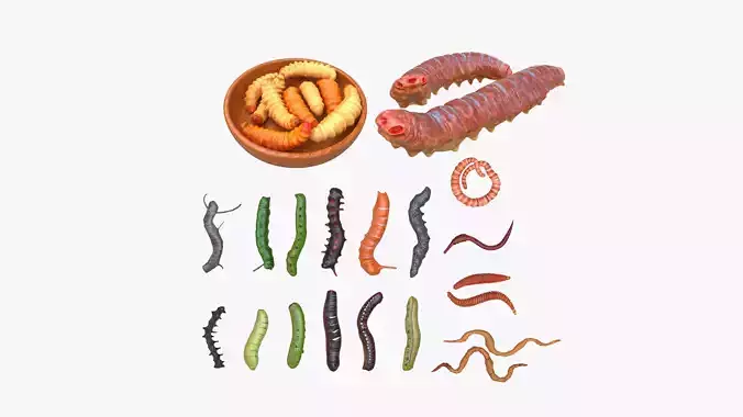Worm Set Collection
