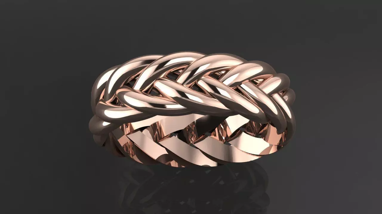 Braid rings 3D print model