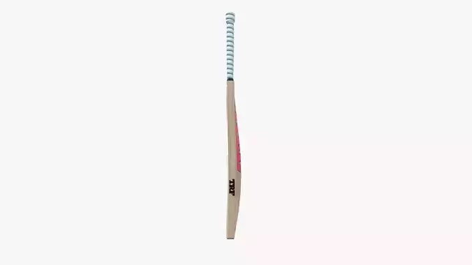 Cricket Bat 3D model